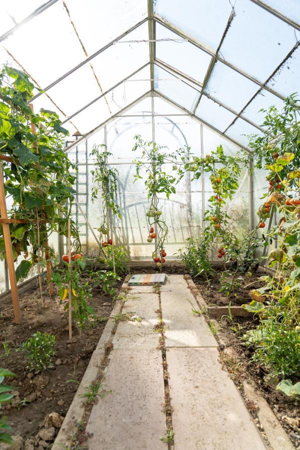 Ferienwohnung Im Idyll 1 Hengersberg Zewnętrze zdjęcie