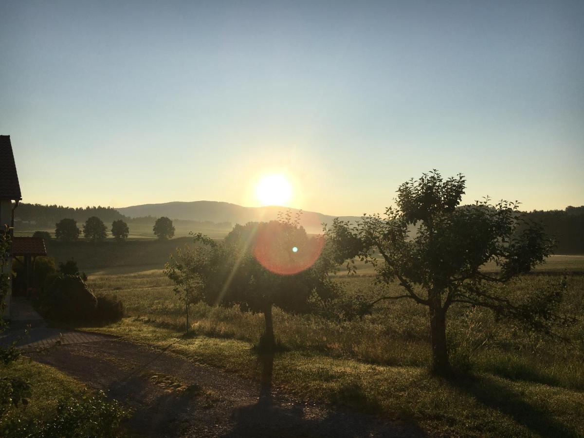 Ferienwohnung Im Idyll 1 Hengersberg Zewnętrze zdjęcie
